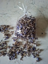 Fiori di Glicine Essicati