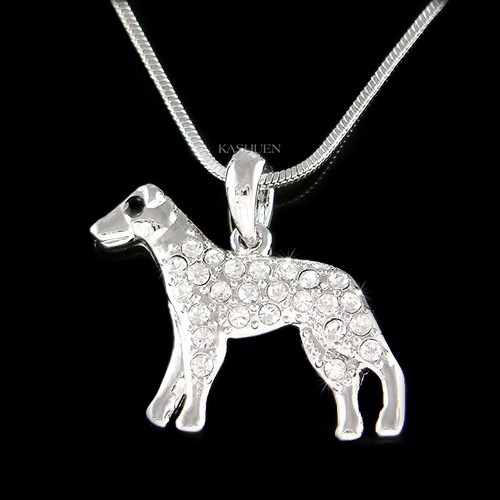 Greyhound whippet polski - ~greyhound,