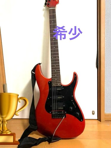 Chitarra elettrica fernandes - chitarra,