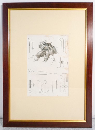 Grafica 1800 pastore - 1800,