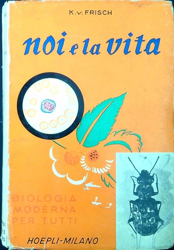 Noi vita biologia - noi, :
