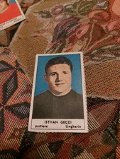 Edizione Il Tempo Mondiali Calcio Del 1966 : Istvan Geczi Del Ungheria