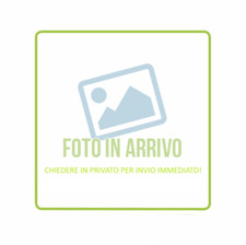 Il meeting di successo 	Cesare Sansavini	Alpha Test