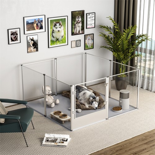 Box per cani - , recinzione