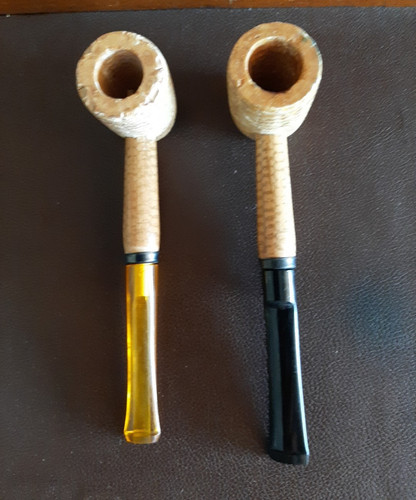 Coppia pipa missouri - coppia,