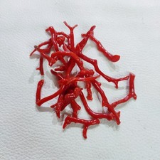 Autentico corallo rosso pietra