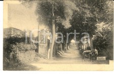 1920 COSTUMI Scena di campagna con pilone votivo *Cartolina ILLUSTRATA FP VG