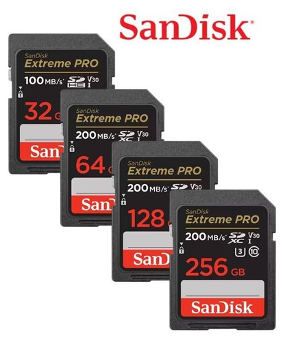Sandisk 32gb 64gb 128gb 256gb - 32gb,