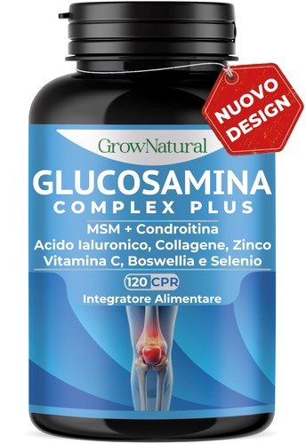 Glucosamina condroitina msm - glucosamina,