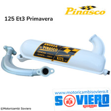 Marmitta Siluro Bianca Andrea