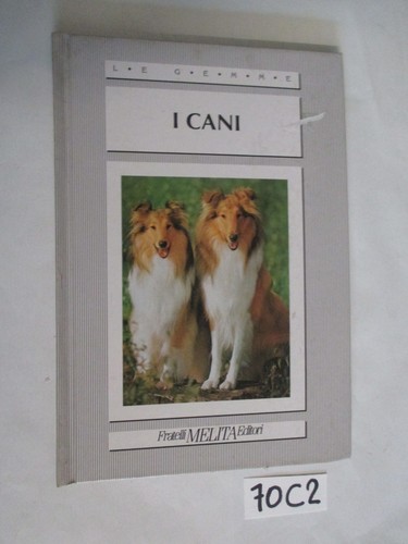 Melita cani - melita,