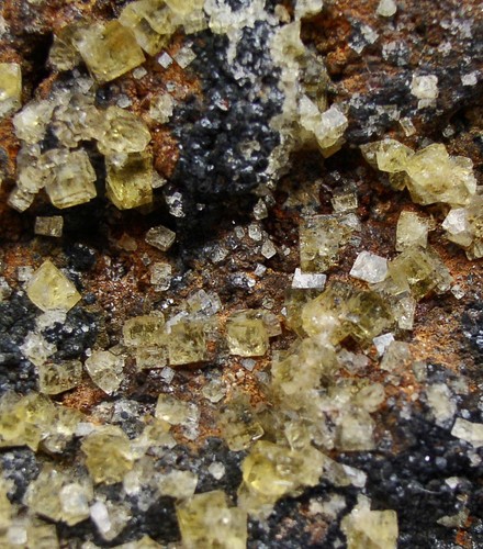 Fluorite gialla fossa aiuto - fluorite,
