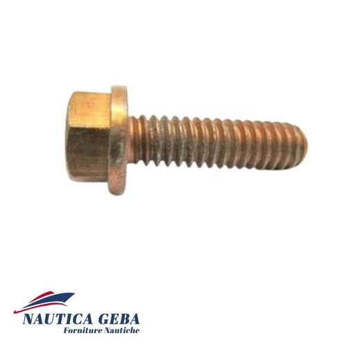 Screw evinrude johnson viti - screw,