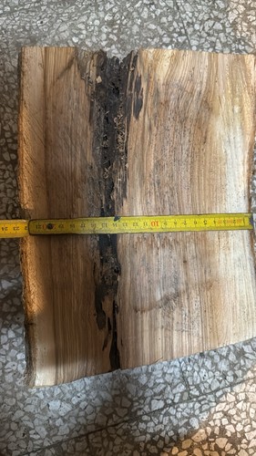 Tronco ulivo fetta con - tronco, di