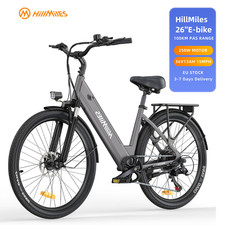 250W Bicicletta Elettrica