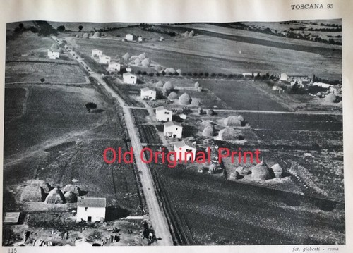 1956 bonifica della - della, maremma