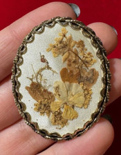 Vintage Ovale Essiccato