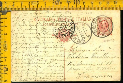 Regno leoni cartolina - cartolina, intero