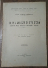 RAVENNA - FERRARA -  EMILIA-ROMAGNA  - UVA - VITE - VINO VARIETA' UVA D'ORO -RRR