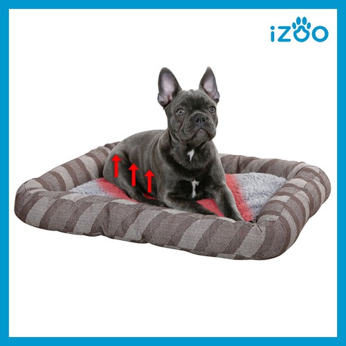 Cuccia per cani interno - per, da