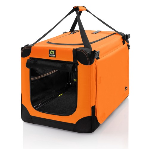 Maelson morbido kennel - morbido,