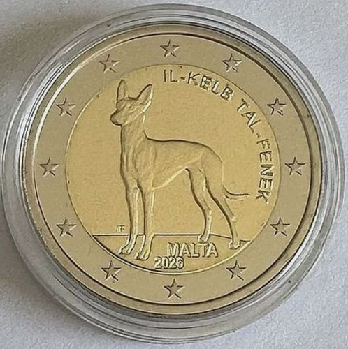 Malta 2026 conm - 2, perro