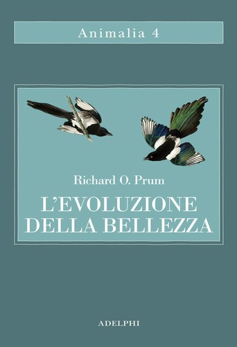 Evoluzione della bellezza - l'evoluzione,