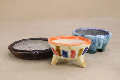 Vaso per bonsai giapponese