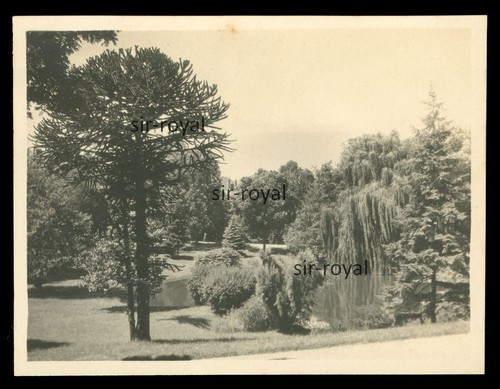 Angers 1930 botanischer - -,