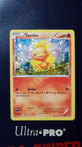 Pokemon tcg torchic - torchic, holo