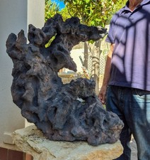 Pietra per Bonsai ishizuki (80cm di altezza)