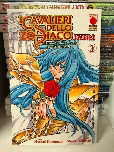 Cavalieri dello zodiaco - cavalieri,