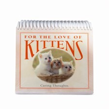 Per l'amore dei gattini