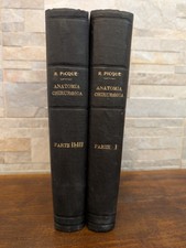 Anatomia Chirurgica - Picqué