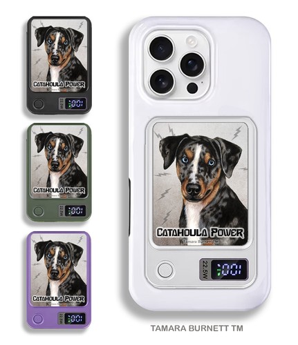 Catahoula leopard dog - leopard,