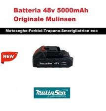 Batteria 48v 5000mAh Mulinsen