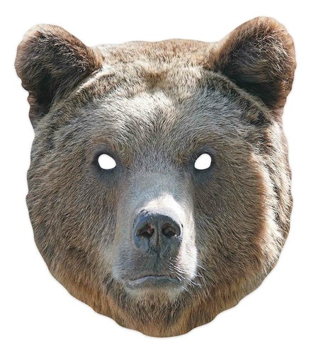 Orso animale carta singola - orso,