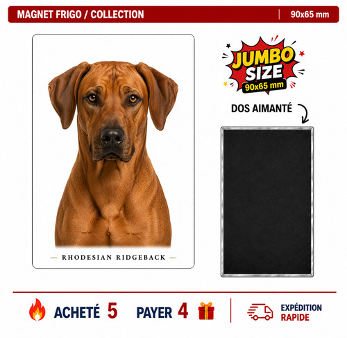 Magnet rhodesian ridgeback - rhodesian,