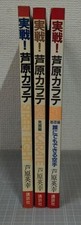 Ashihara Karate Street Fight Karate Vol. 1-3  Set of 3 Used in Japanese