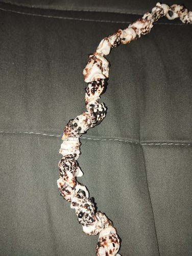 Collana conchiglie vere - di,