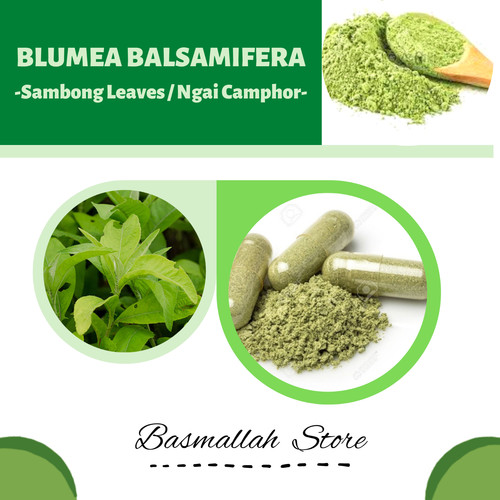 Capsule foglie sambong ngai - foglie,