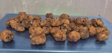 Tartufo Bianco II Scelta 50gr