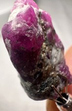 41 Ct Wunderschöne Robin