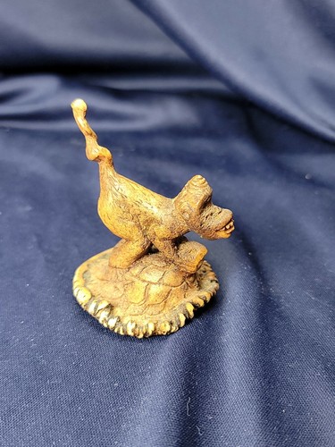 Scimmia cavalcata tartarughe - ,
