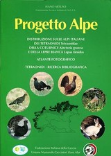 PROGETTO ALPE  DISTRIBUZIONE