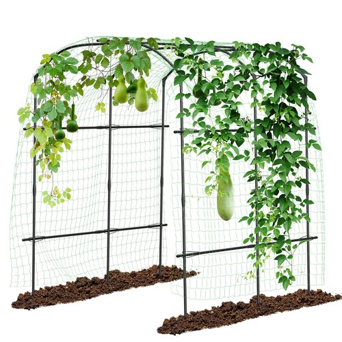 Sunyrisy arco giardino - da,