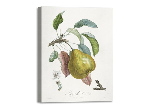 Quadro stampa tela con - quadro,