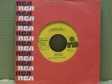 Rino Gaetano / Amanda Lear -