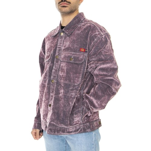 Dickies flock jacket - oc,