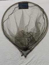  Testa Di Guadino Ovale